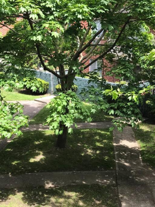 Brooklyn Luxury Spring Retreat With Private Outdoor Space New York Extérieur photo