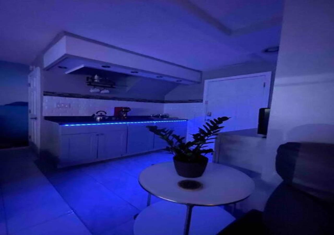 Brooklyn Luxury Spring Retreat With Private Outdoor Space New York Extérieur photo
